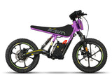 EKB M16 Purple