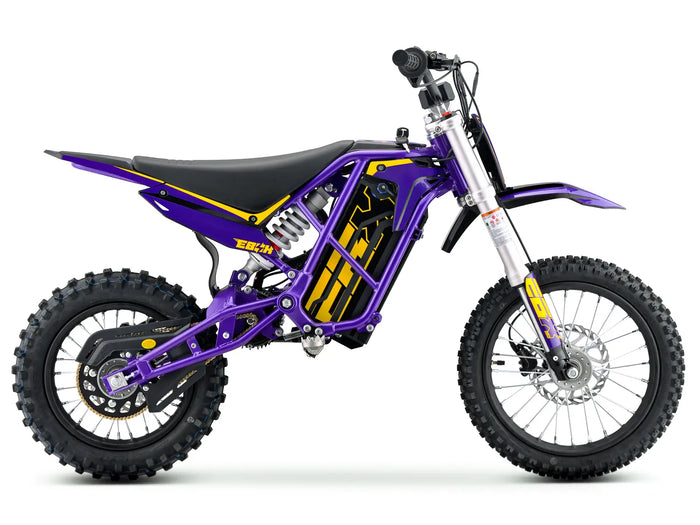 Purple/Gold